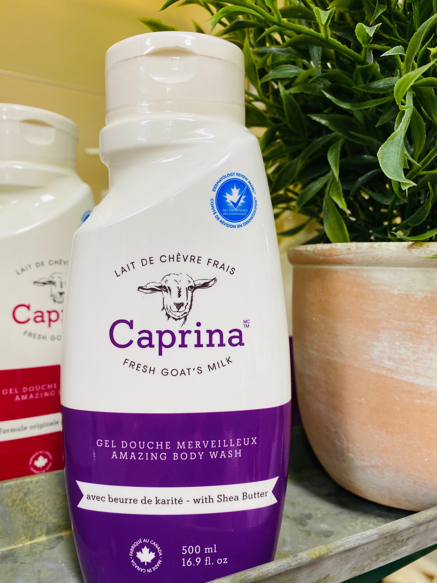 Canus Caprina Goat's Milk Bath Products